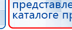 СКЭНАР-1-НТ (исполнение 02.1) Скэнар Про Плюс купить в Вольске, Аппараты Скэнар купить в Вольске, Дэнас официальный сайт denasdoctor.ru
